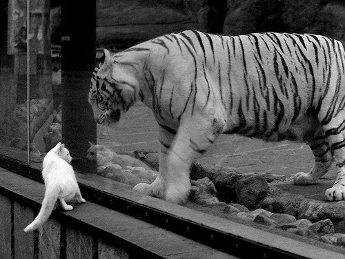 课堂互动效果分析,课堂互动现状